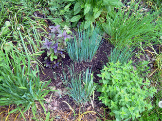 Similar image 21895803