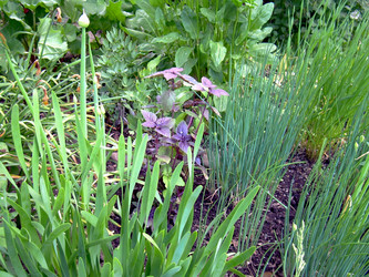 Similar image 21895804