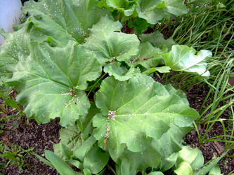 Similar image 21895805