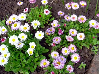 Similar image 21895806