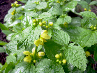 Similar image 21895807