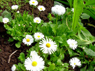 Similar image 21895809