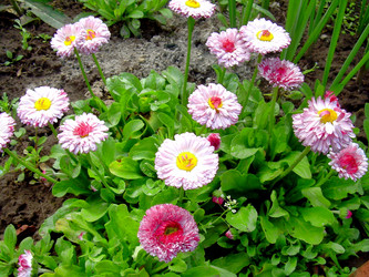 Similar image 21895810