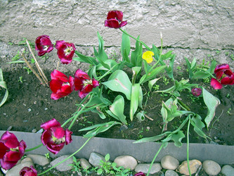 Similar image 21895811