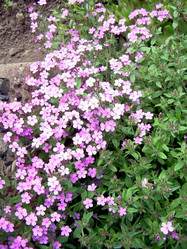 Similar image 21895812