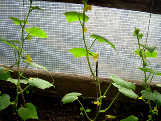 Similar image 21895813