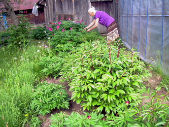 Similar image 21895814