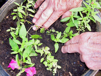 Similar image 21895816