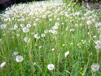 Similar image 21895817