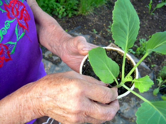 Similar image 21895818