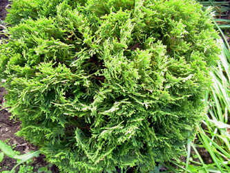 Similar image 21895911