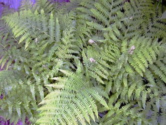 Similar image 21895913