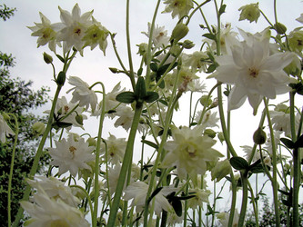 Similar image 21895915