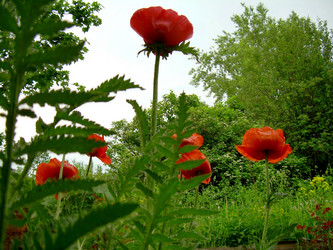 Similar image 21895916