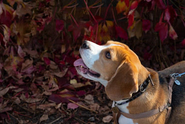 Similar image 21895831