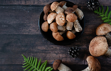 Similar image 21895835