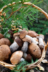 Similar image 21895837