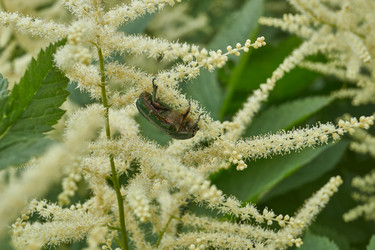 Similar image 21895582