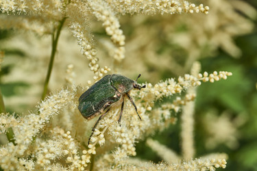 Similar image 21895585