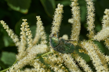 Similar image 21895586