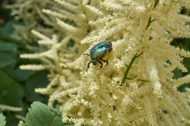 Similar image 21895587