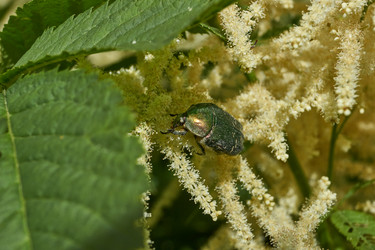 Similar image 21895589