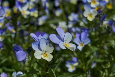 Similar image 21895590