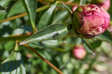 Similar image 21895592