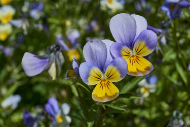 Similar image 21895594