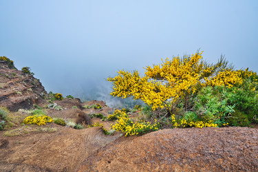 Similar image 21897119