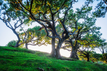 Similar image 21897123