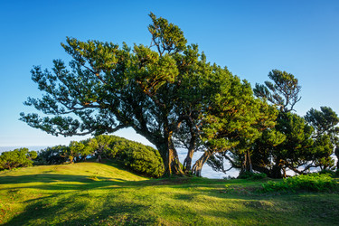 Similar image 21897125