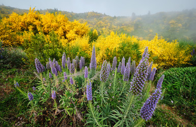 Similar image 21897126