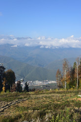 Similar image 21895595