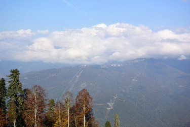 Similar image 21895596