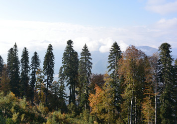 Similar image 21895597