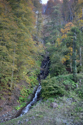 Similar image 21895600