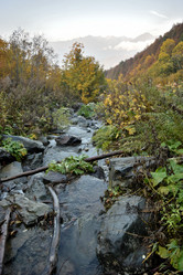 Similar image 21895603