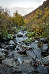 Similar image 21895604