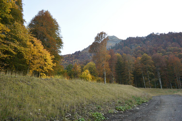 Similar image 21895606