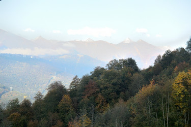 Similar image 21895607