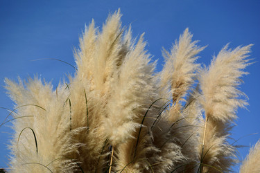 Similar image 21895610