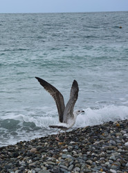 Similar image 21895616