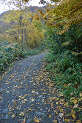 Similar image 21895617