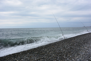 Similar image 21895618