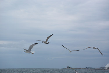 Similar image 21895619