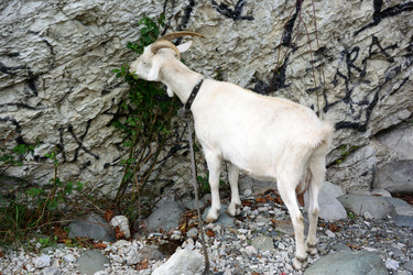 Similar image 21895630