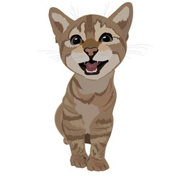 Similar image 21895269