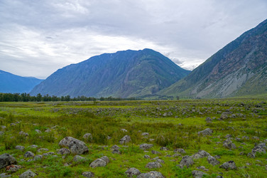 Similar image 21895444