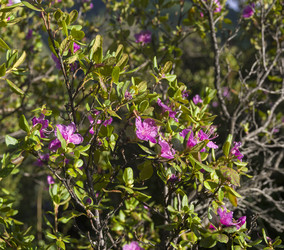 Similar image 21895447